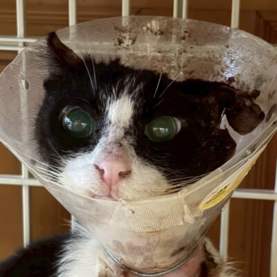 みおくん【ちびびの森シェルター】