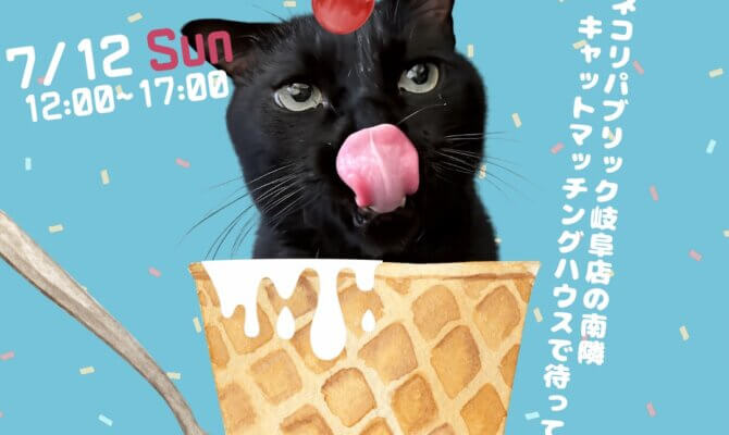 【岐阜市】7月12日開催🌻保護猫譲渡会🐈この夏、とっておきの出会いを見つけよう🍦