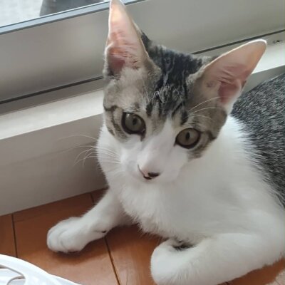 ベース【大阪TNTA部】