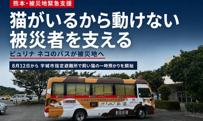 【熊本地震・猫の避難支援】ネスレ日本 「ピュリナ ネコのバス」が宇城市指定避難所「ウイングまつばせ」へ