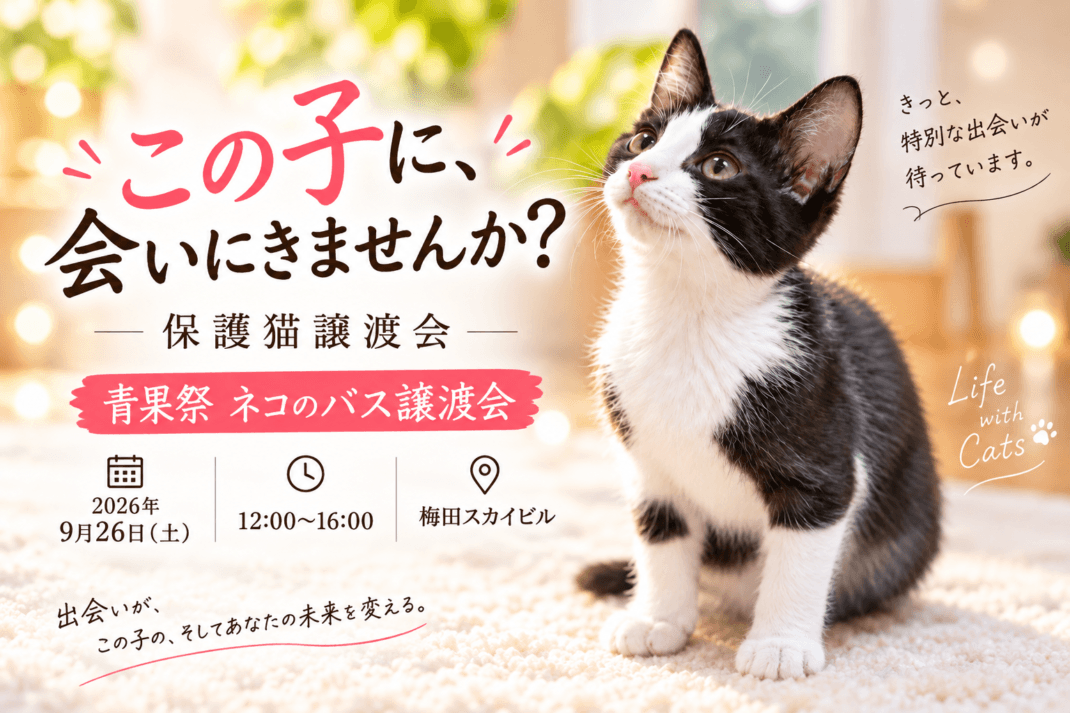 青果祭ネコのバス譲渡会