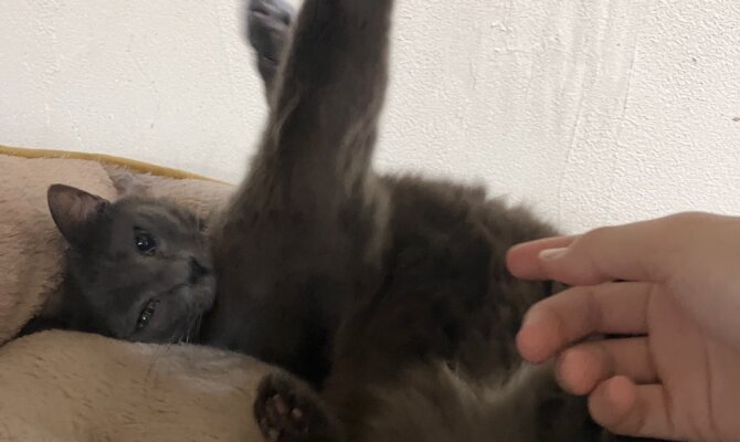 【お茶の水】〜パラソル〜