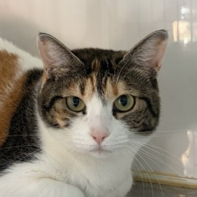 恩田さん【ちびびの森シェルター】