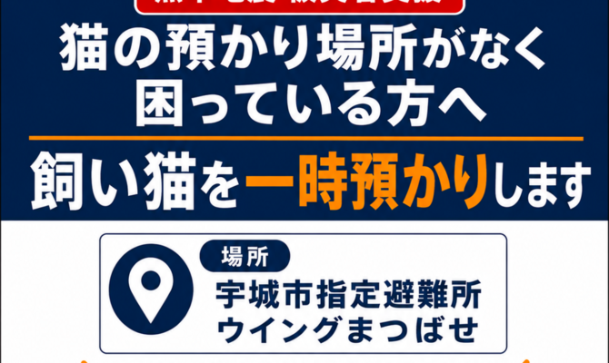 【熊本地震被災者支援】猫の預かり場所がなく困っている方へ。飼い猫を一時預かりします。