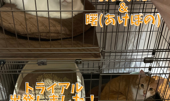 お父さん＆曙、トライアル出発しました‼️
