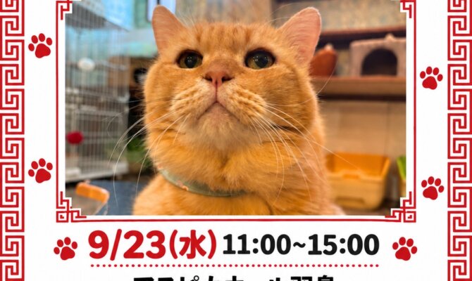 【保護猫譲渡会】9/23は、アスピカ羽島でマルシェを楽しもう！🐈🚌🎪￼