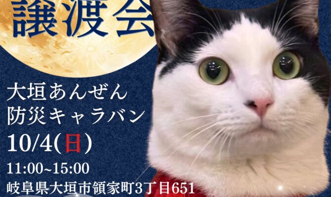 家族で楽しむ一日♪大垣交通安全防災キャラバンに保護猫バスがやってくる！