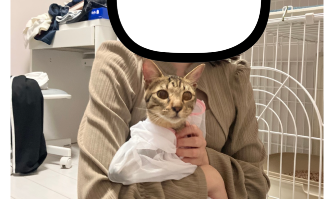 【キャットプラザ西葛西】〜みくるちゃん、トライアル出発しました！🧡🚗〜