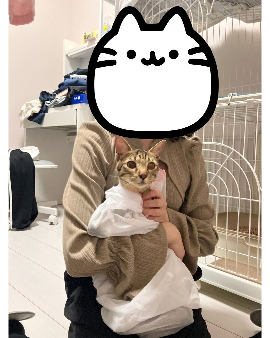 キャットプラザ西葛西】〜みくるちゃん、トライアル出発しました