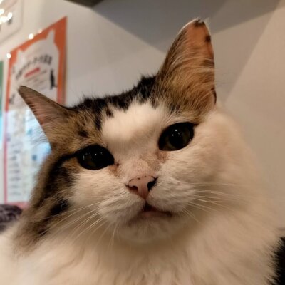 あんず【池袋】