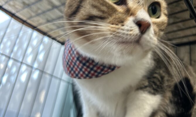 ナイロンがトライアルへ出発しました♪♪