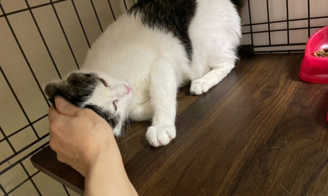 【お茶の水】〜ヨーエン〜